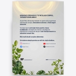 Plan Alimentar Holistic - Rezultate Fără să Renunți la Gustul de Acasă  (Carte Digitală tip PDF) - imagine 2